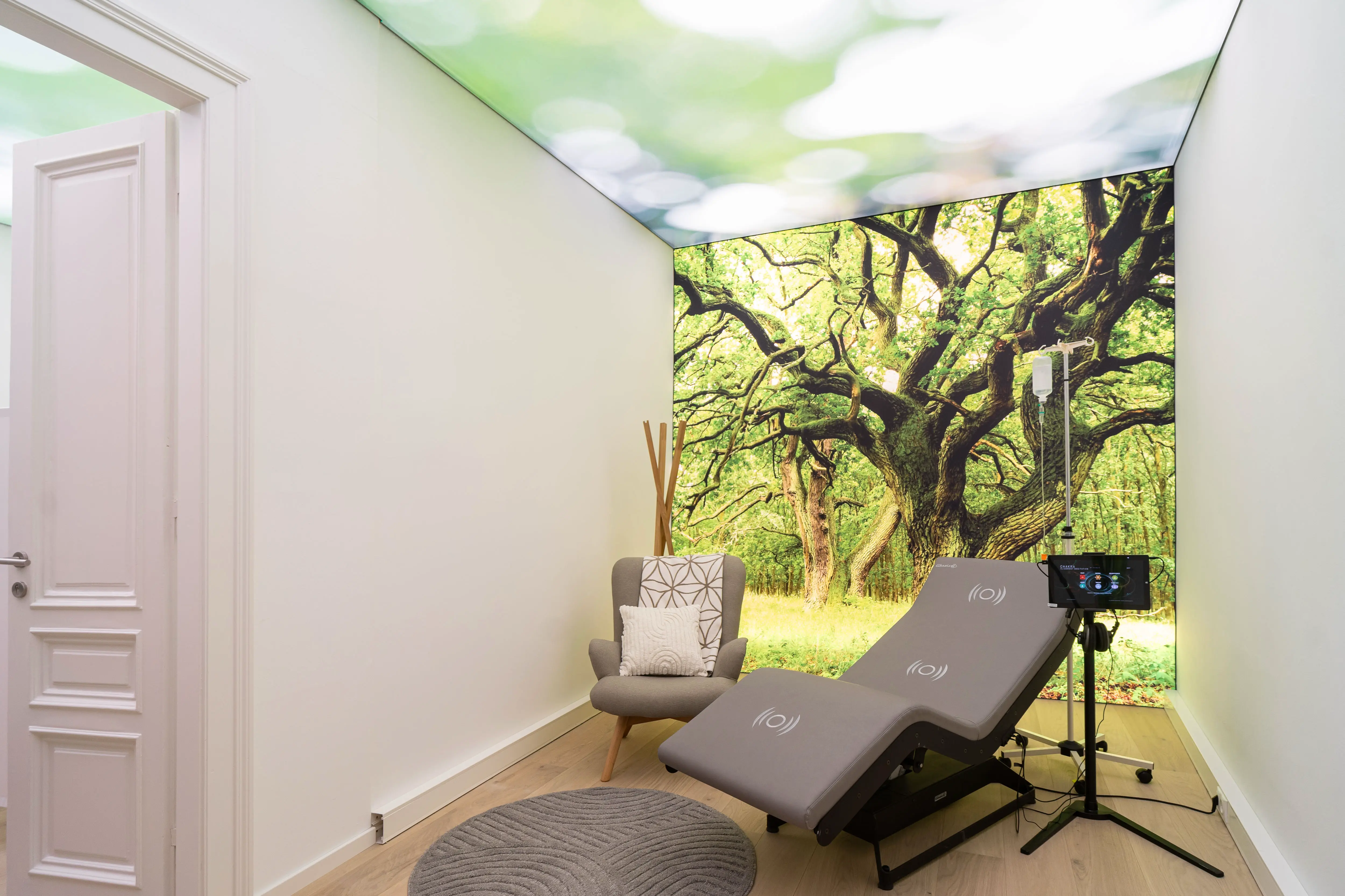 Ruheliege vor großflächigem Baummotiv-Wandbild mit Lichtdecke.